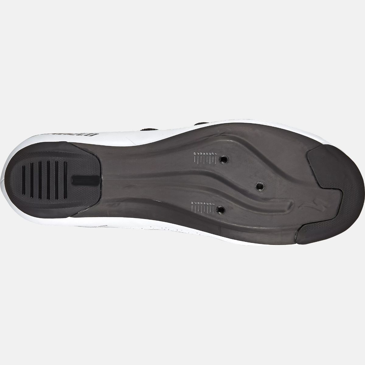 TORCH3.02520c-2.jpg